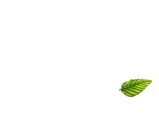 LRS